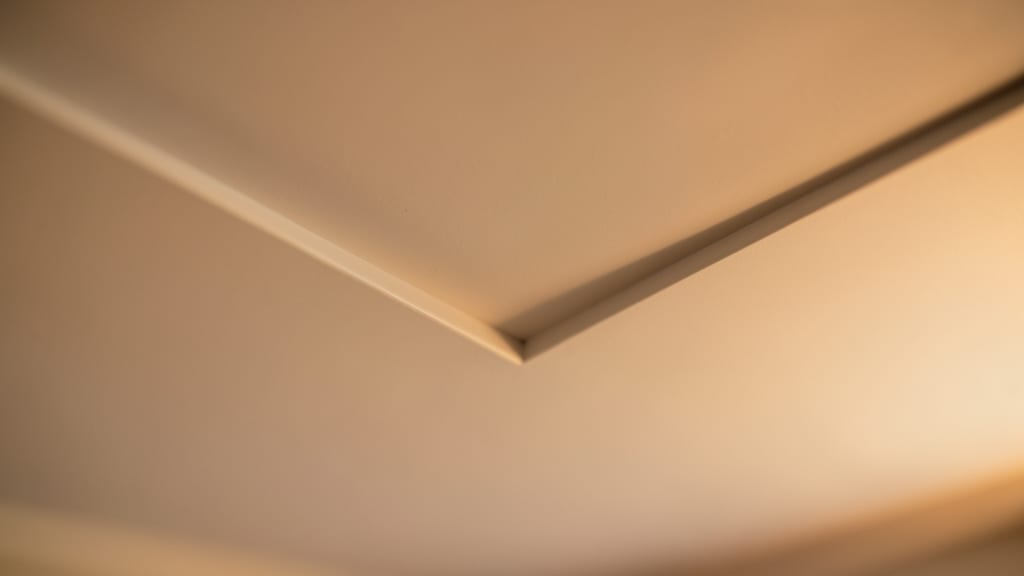 How to Choose a Trusted Mold Remediation Company in Fillmore