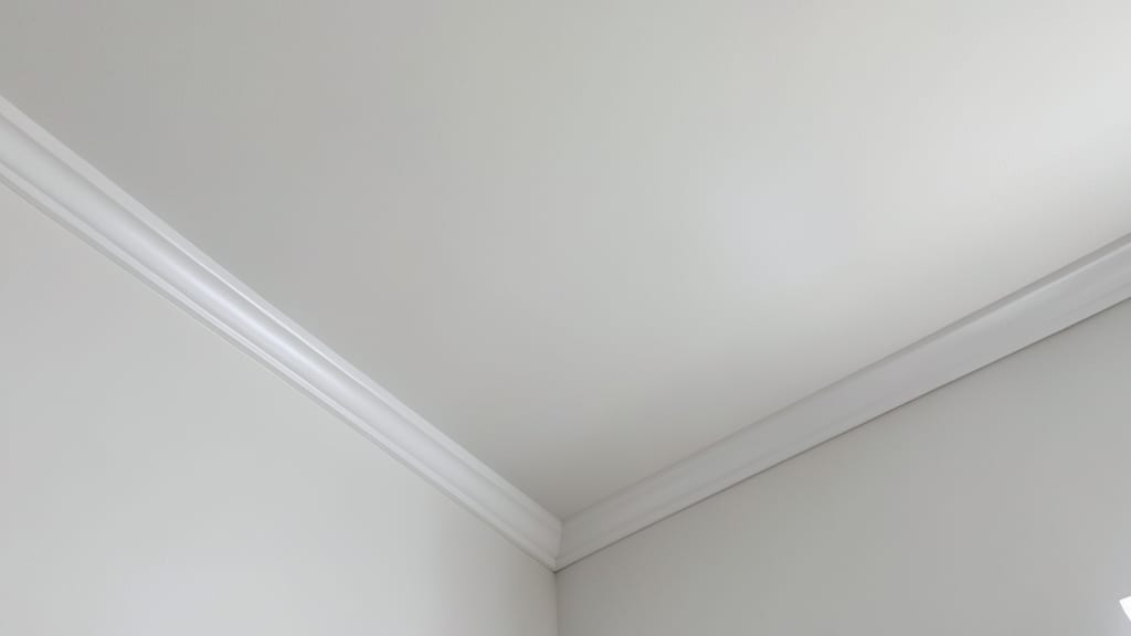 How to Choose a Certified Mold Remediation Specialist in Glen Mills