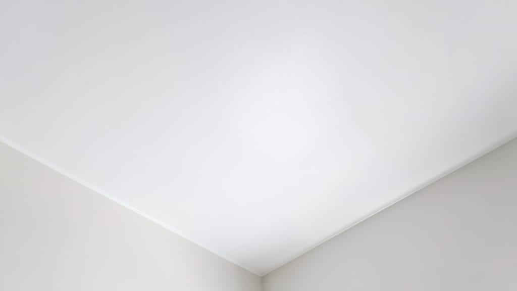 Does Your Glen Mills Home Have Mold or Mildew? Here’s How to Check