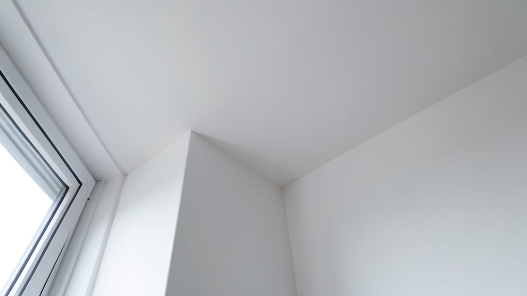 Why Bleach Isn’t Enough for Mold Problems in Glen Mills