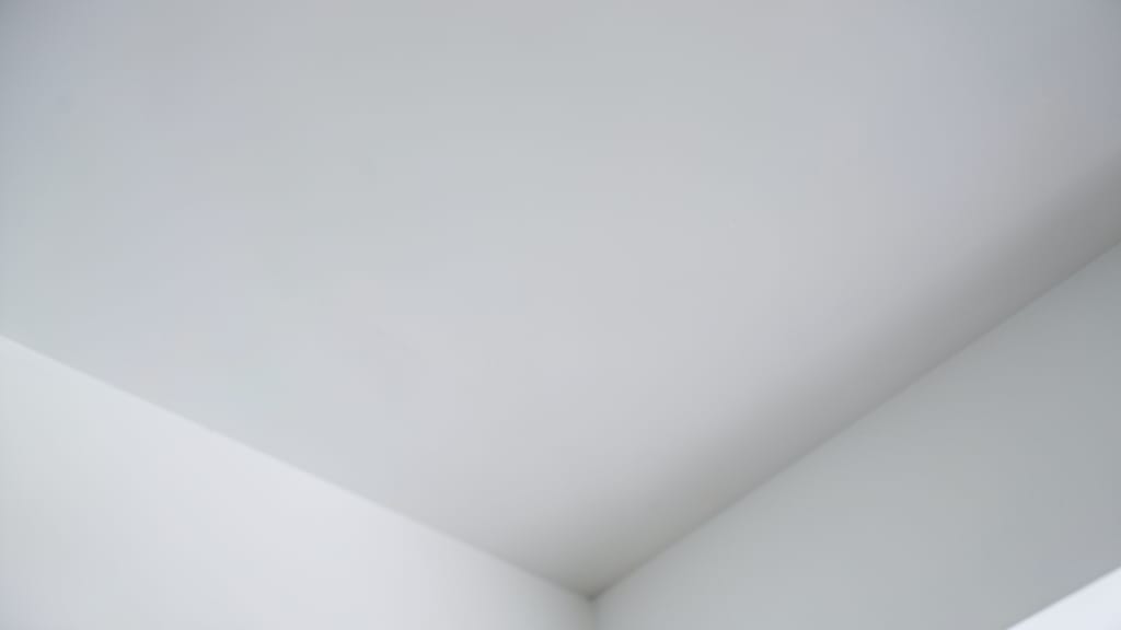 Why Some Mold Types Cost More to Remove in Glen Mills