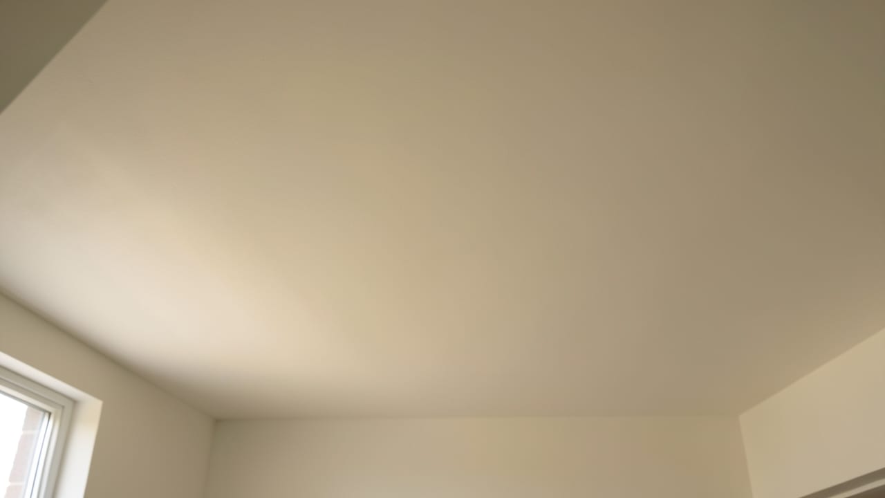Ceiling Mold Removal in Glen Mills, PA in Glen Mills