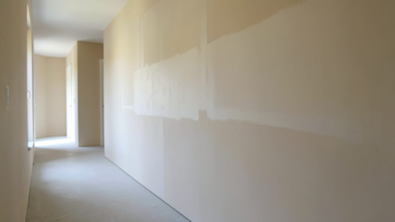 Drywall Mold Remediation in Glen Mills, PA in Glen Mills