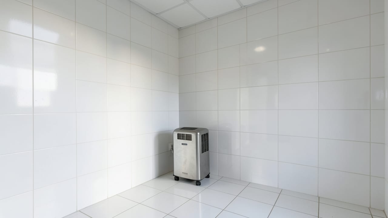Hotel Mold Remediation in Glen Mills, PA in Glen Mills