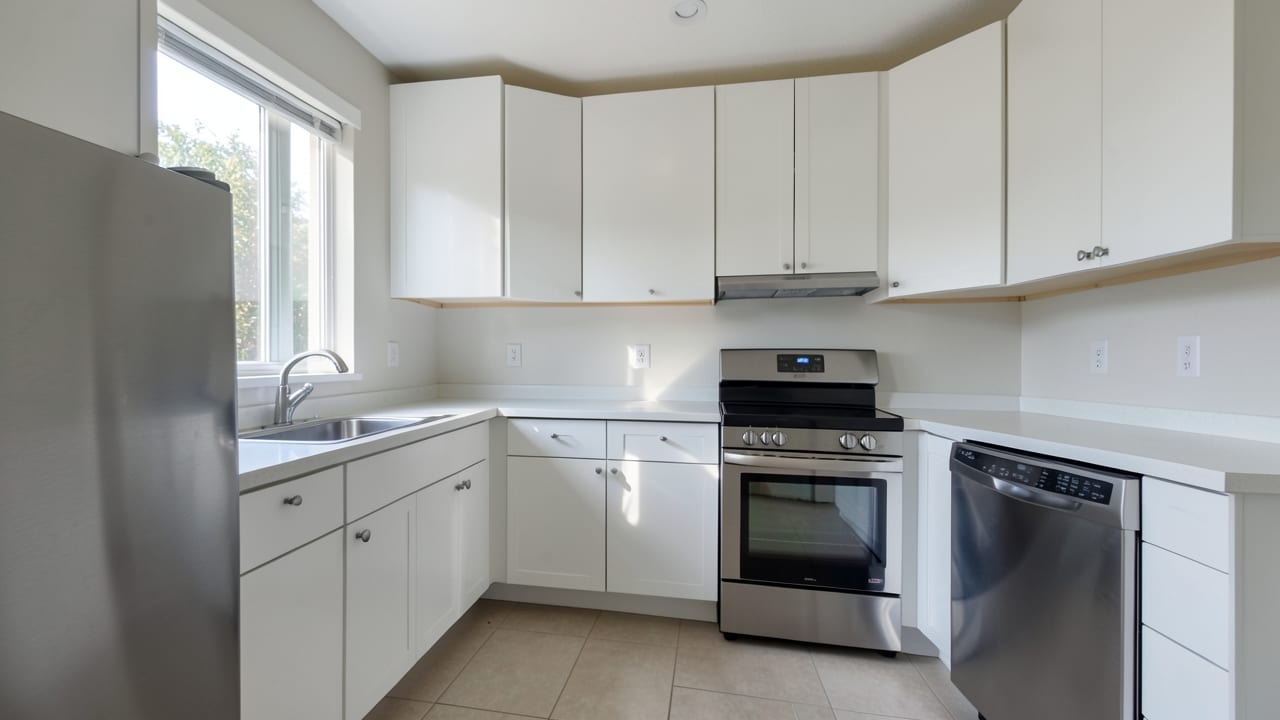 Kitchen Mold Cleanup in Glen Mills, PA in Glen Mills