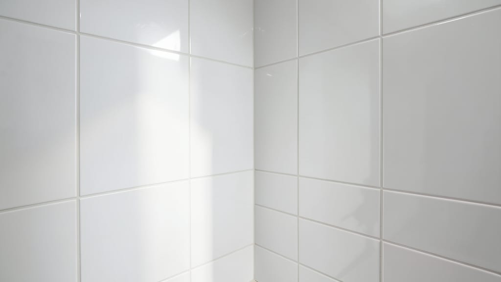 Preventing Mold Recurrence in Haverford Schools