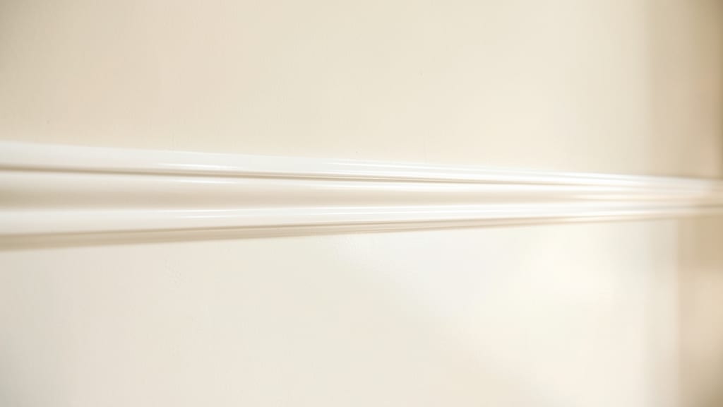 The True Cost of Mold Removal in Haverford
