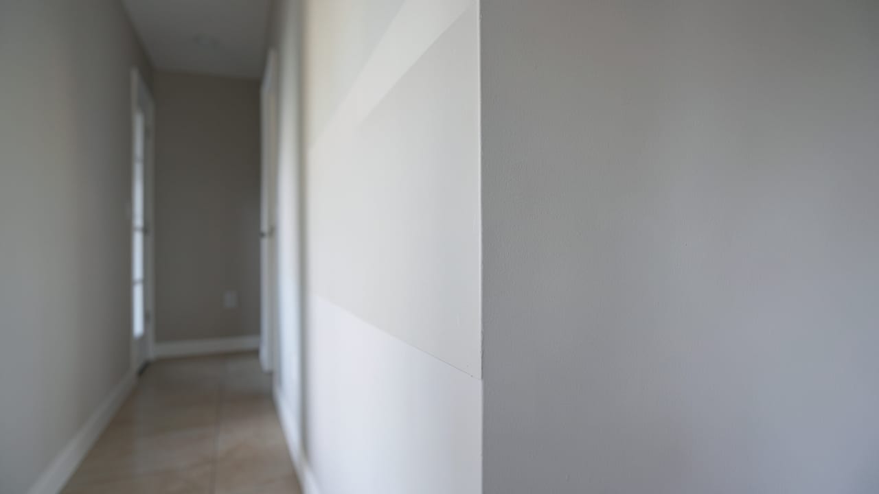 Drywall Mold Remediation in Haverford, PA in Haverford