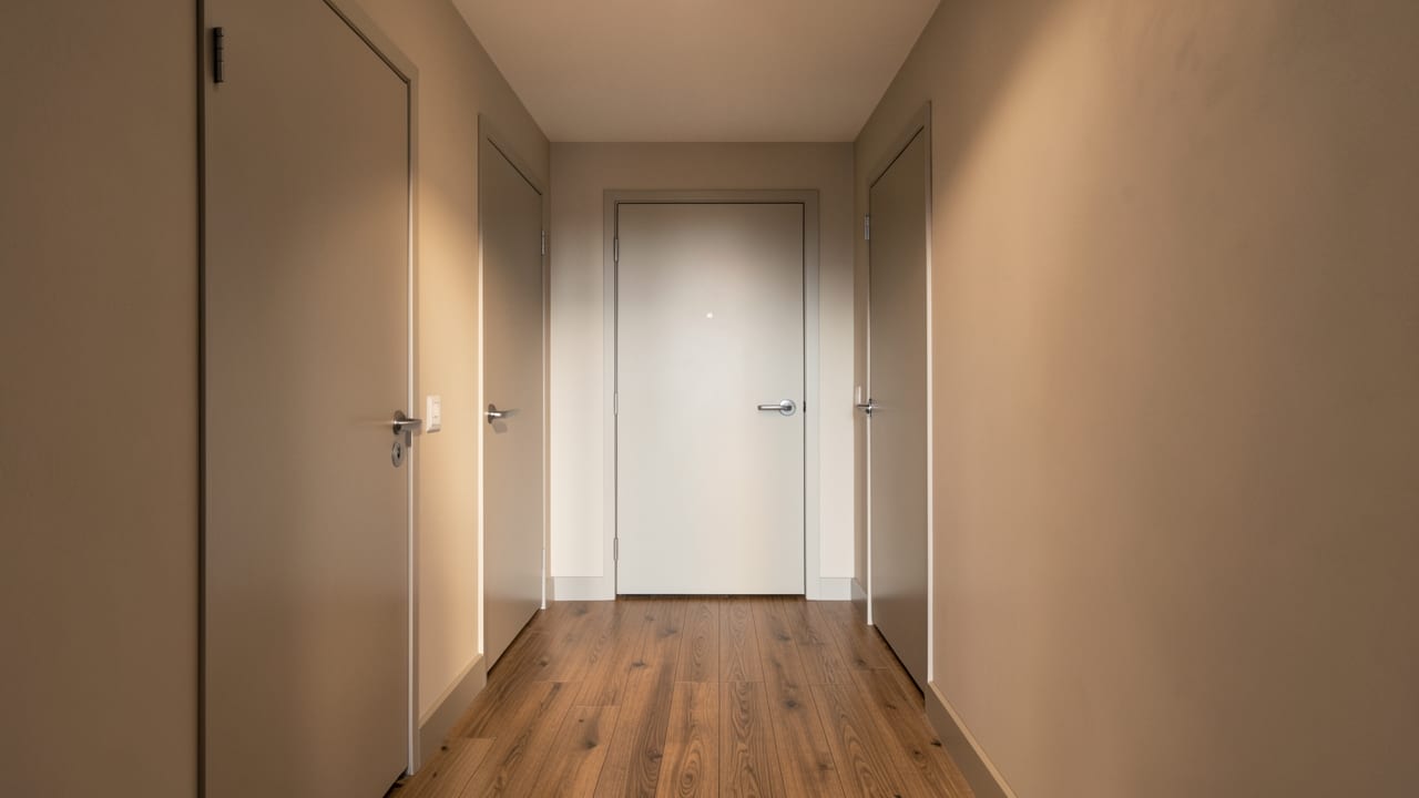 Hallway Mold Remediation in Haverford, PA in Haverford