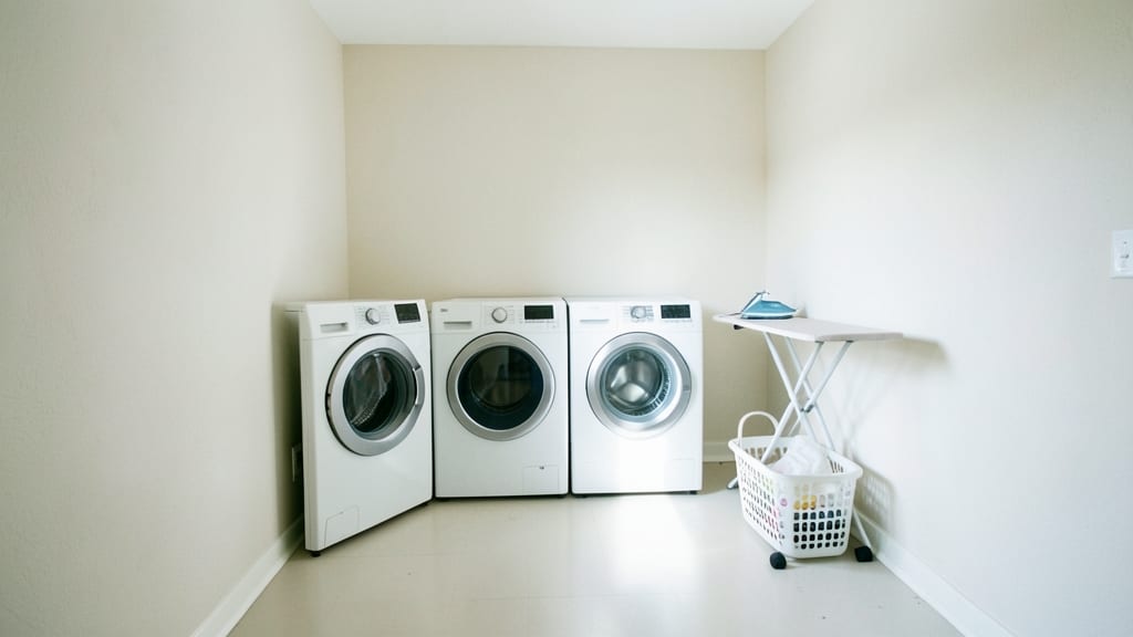 Mold vs. Mildew: How Hudson’s Climate Shapes Growth and Remediation