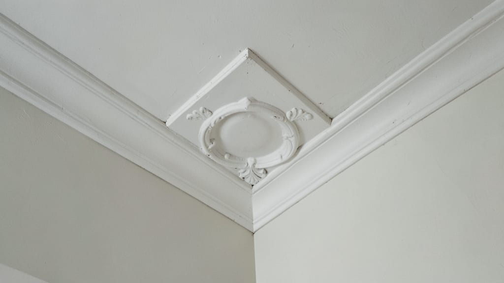 The Science Behind Thermal Imaging for Mold Detection in Hudson