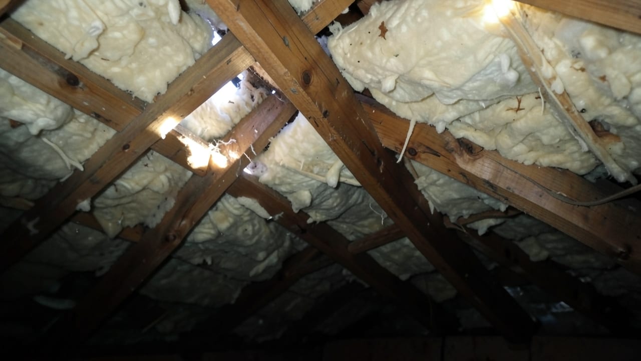Attic Mold Remediation in Hudson, MA in Hudson
