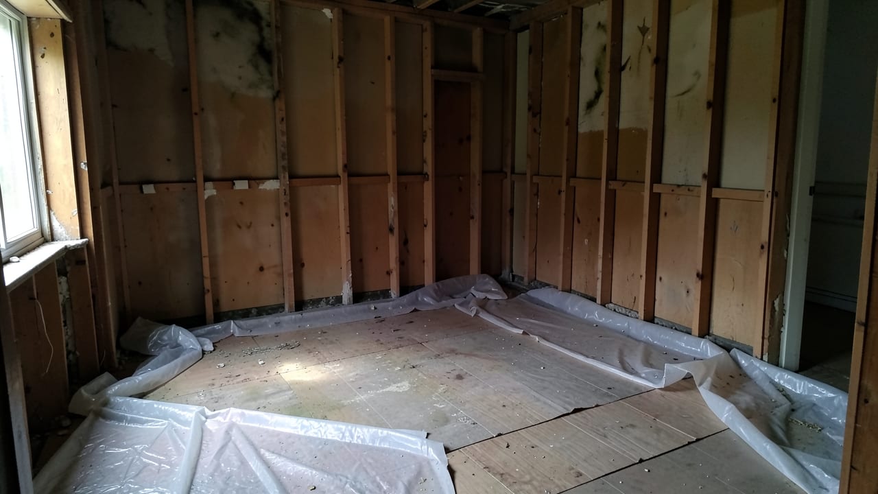 Mold Removal & Remediation in Hudson, MA in Hudson