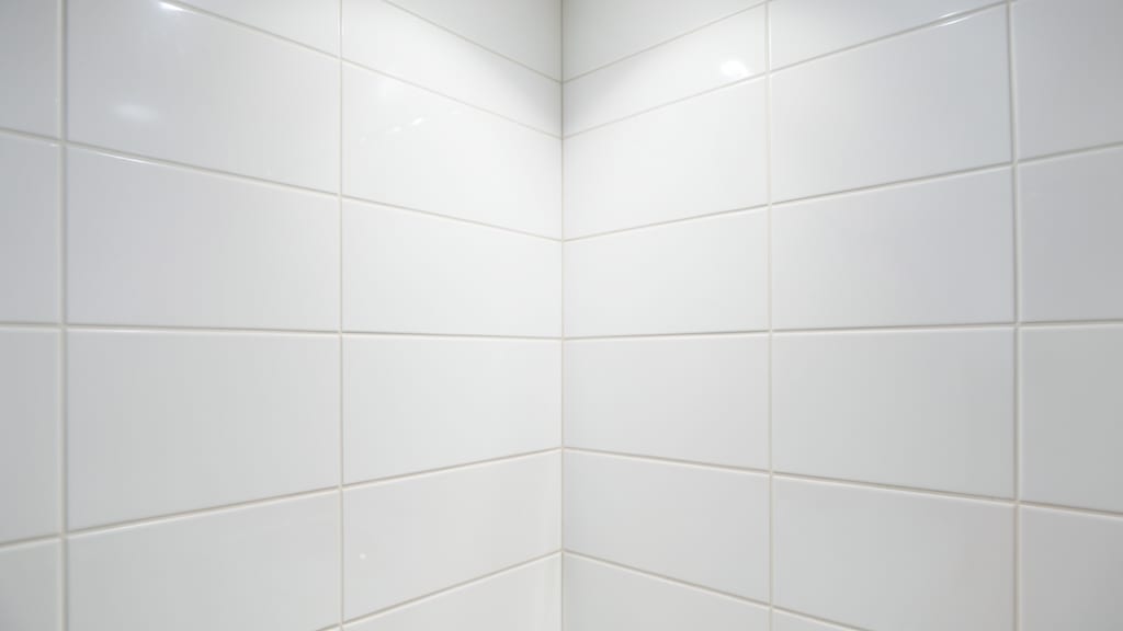 The Long-Term Benefits of Proactive Mold Prevention in Randolph