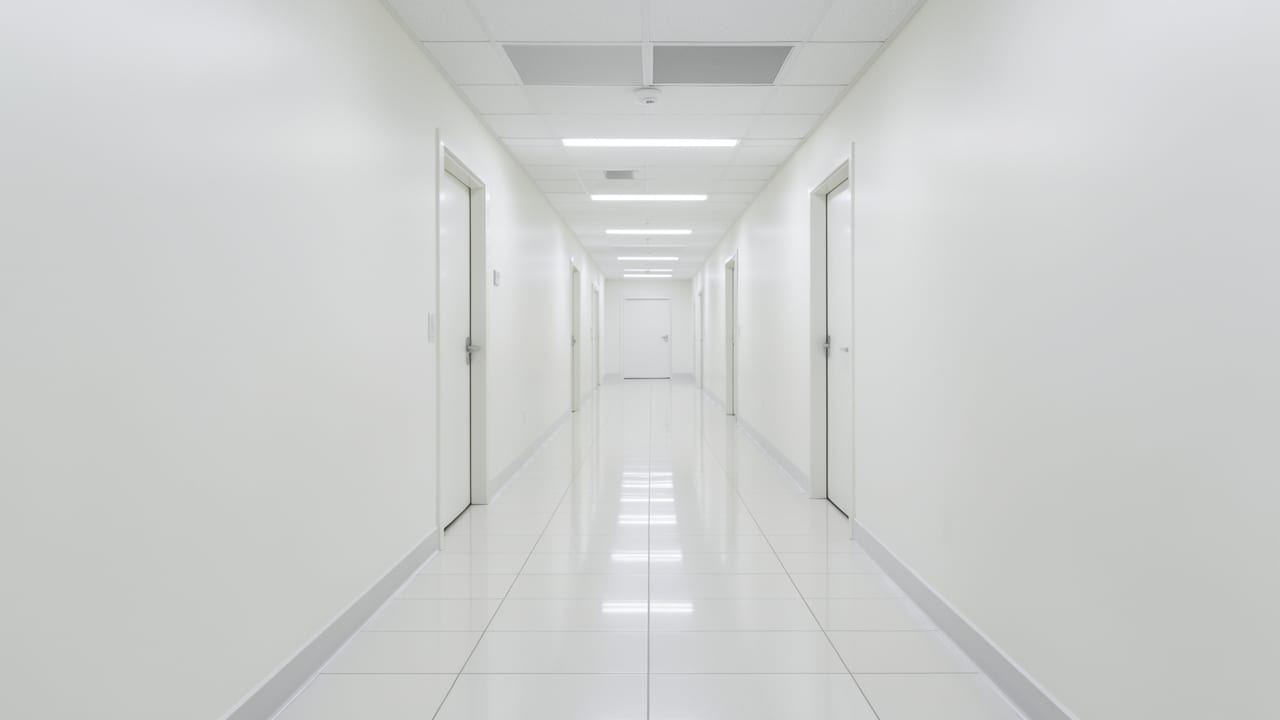 Hospital Mold Removal in Randolph, MA in Randolph