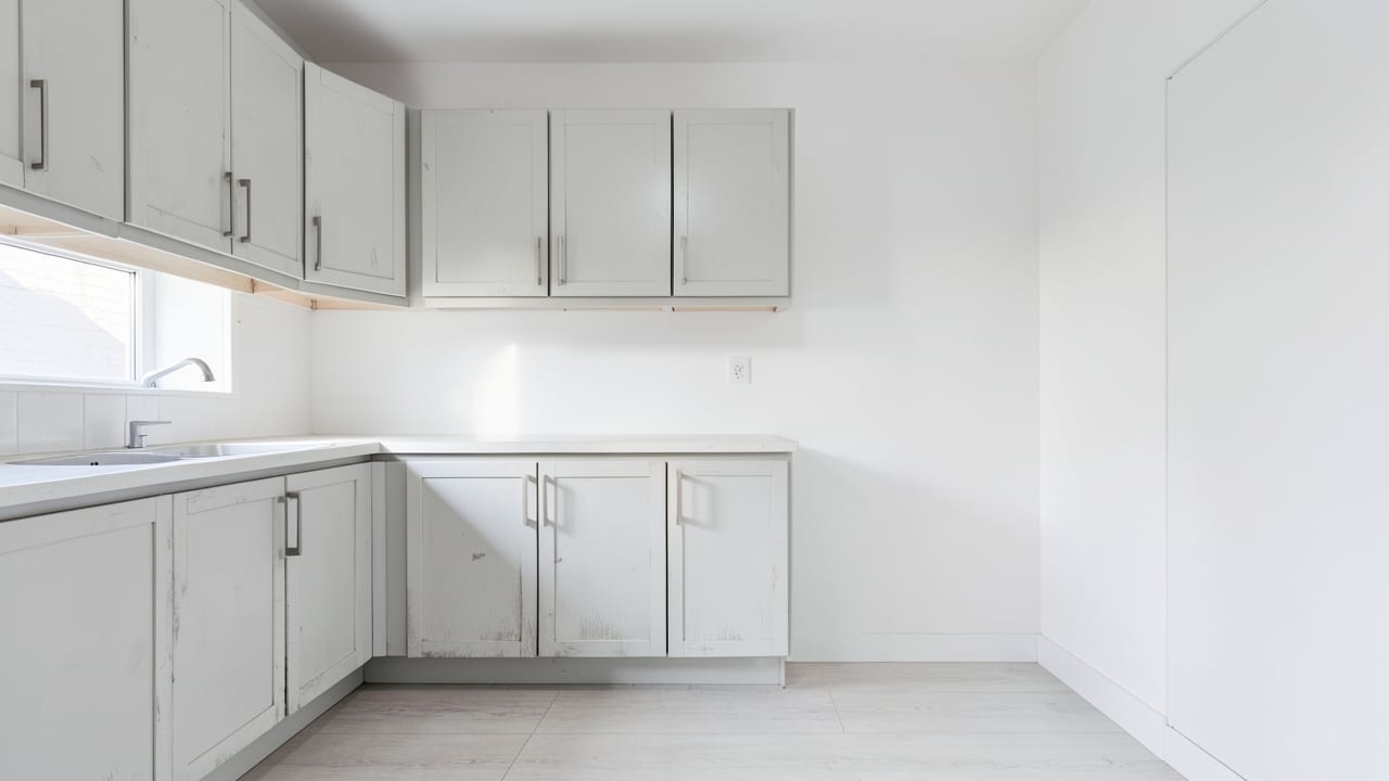 Rental Property Mold Cleanup in Randolph, MA in Randolph