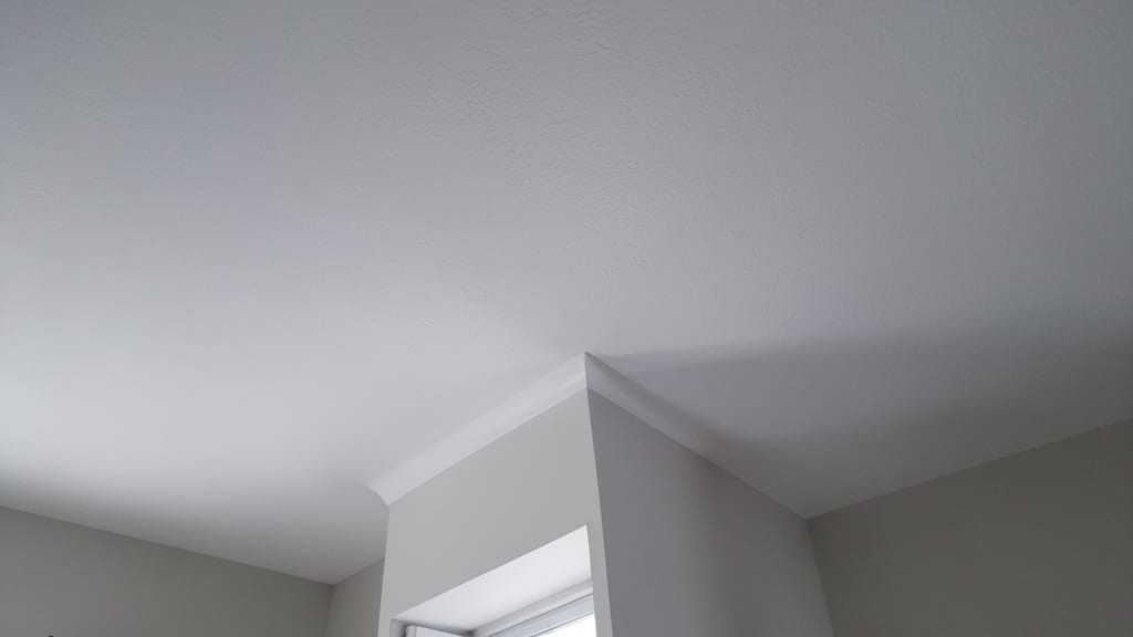 Understanding the Link Between Black Mold in Redondo Beach