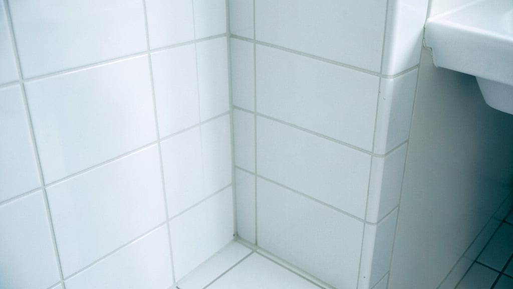 Small vs. Large-Scale Mold Infestations: Cost Differences in Redondo Beach