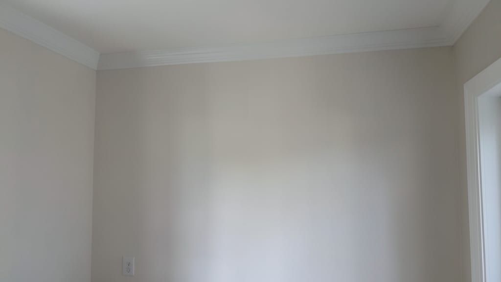 Why DIY Mold Removal in Redondo Beach Often Misses Hidden Growth in Walls and Crawl Spaces