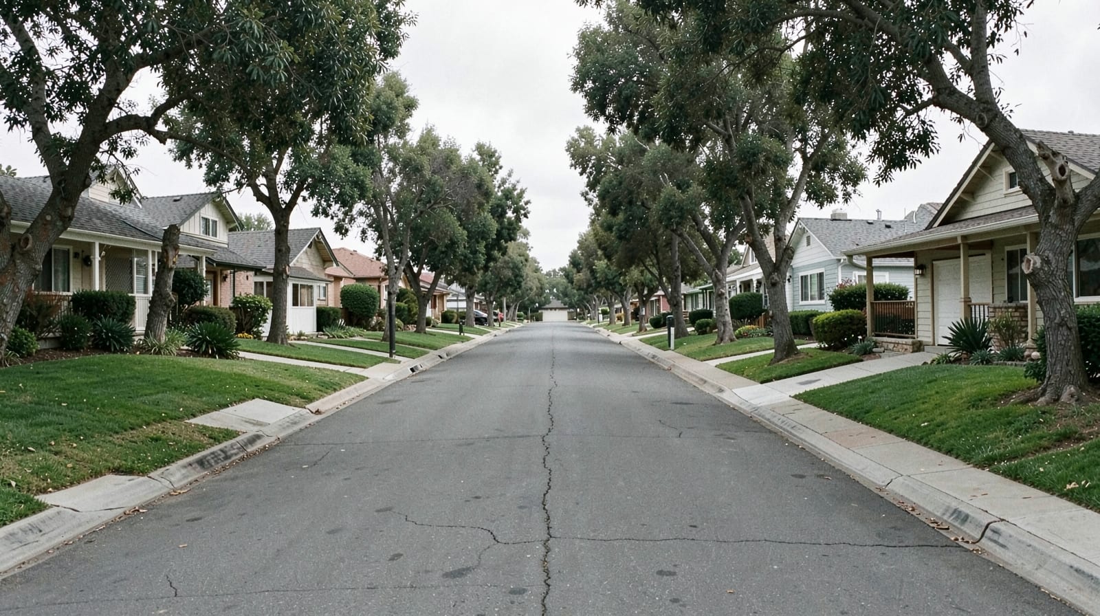 Mold Remediation in Alondra Park, CA