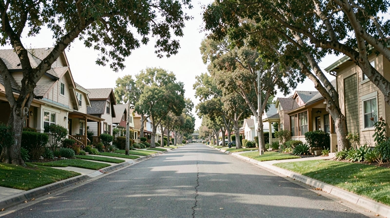 Mold Remediation in Lawndale, CA