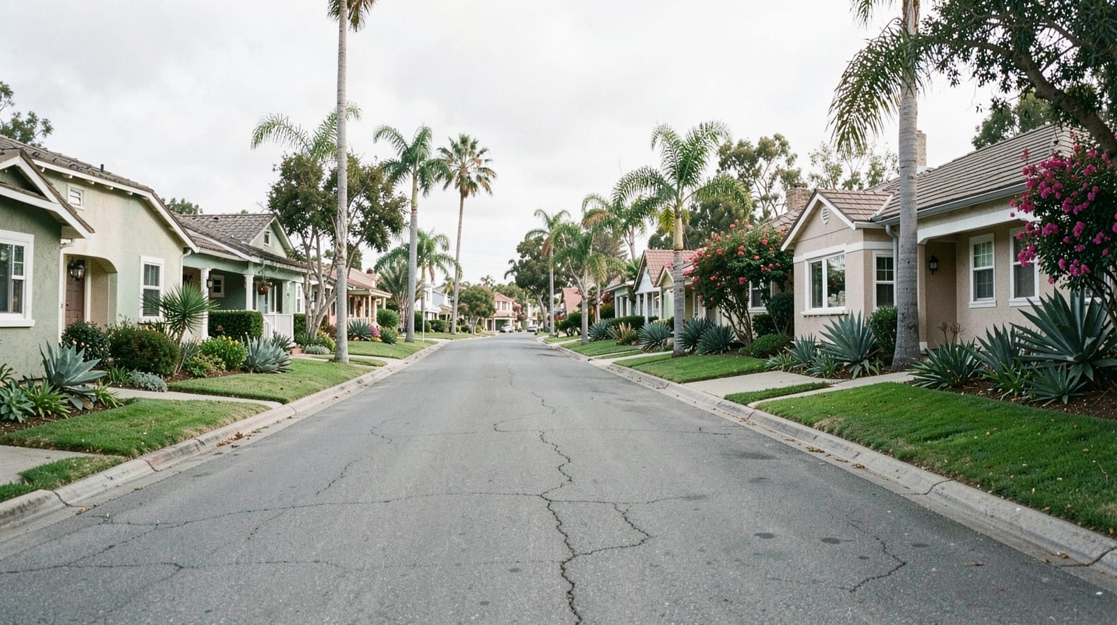 Mold Remediation in Torrance, CA
