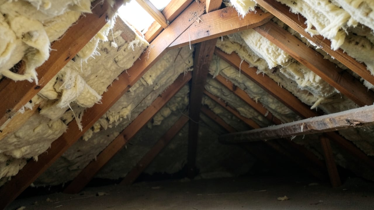 Attic Mold Remediation in Redondo Beach, CA in Redondo Beach