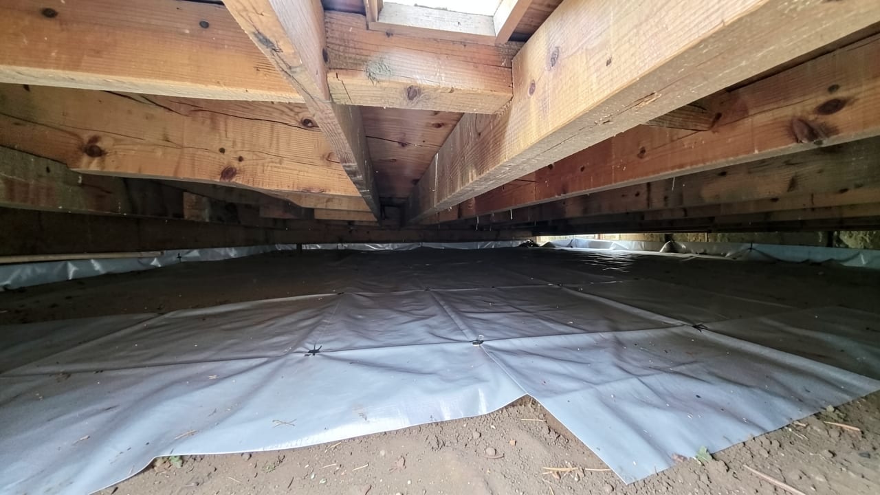 Crawl Space & Basement Mold Remediation in Redondo Beach, CA in Redondo Beach