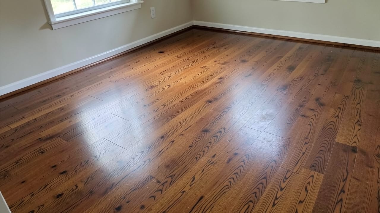 Flood Damage Mold Remediation in Redondo Beach, CA in Redondo Beach