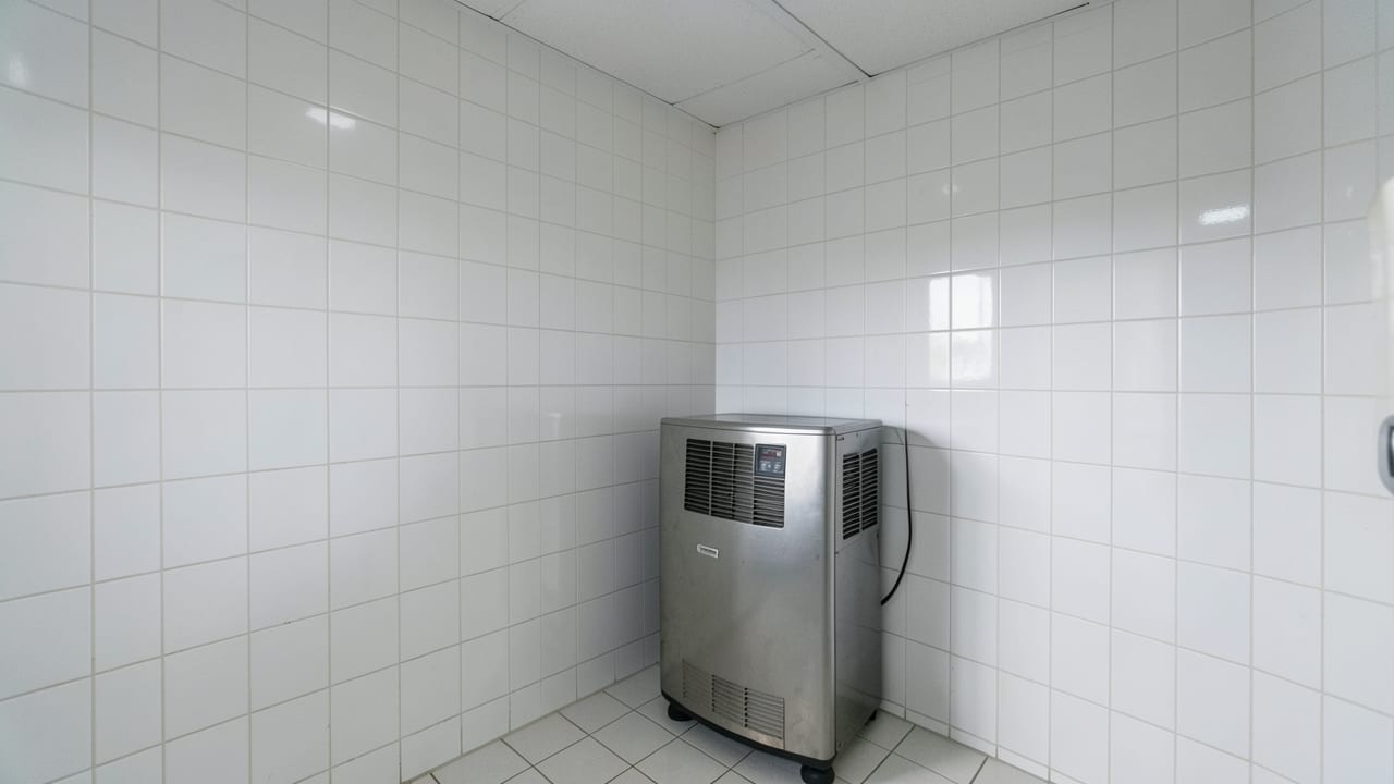 Hotel Mold Remediation in Redondo Beach, CA in Redondo Beach