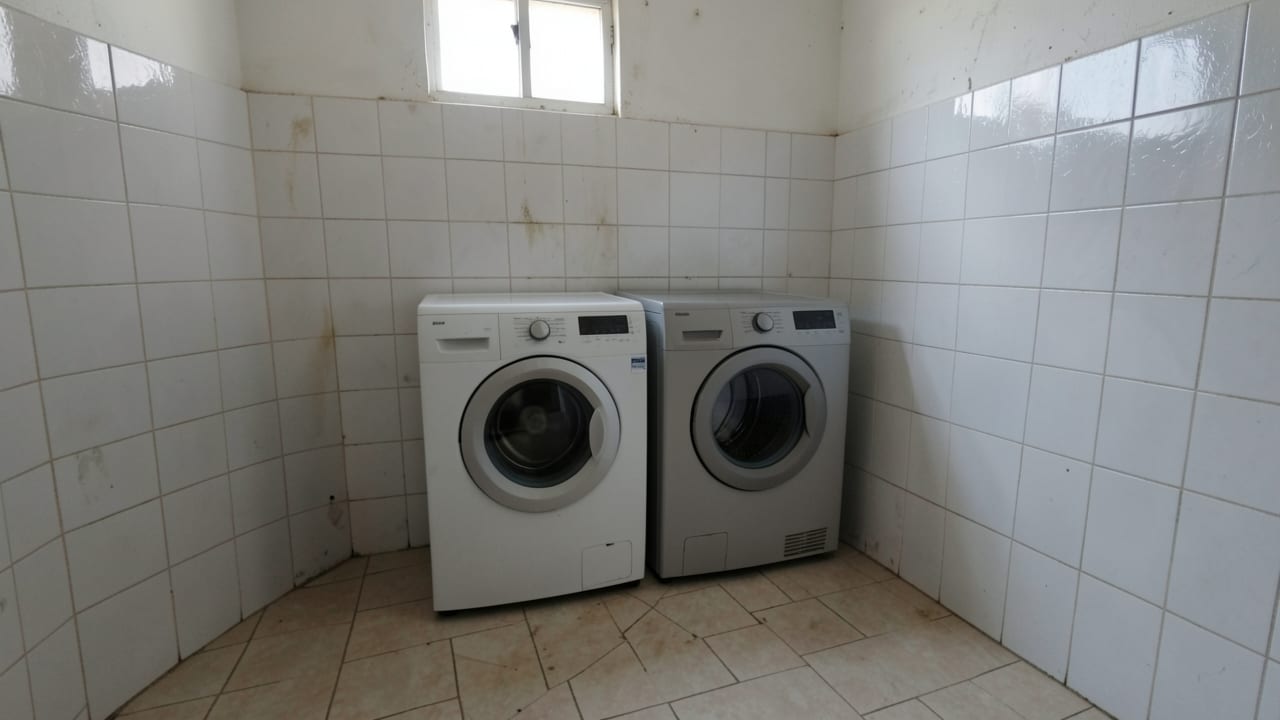 Laundry Room Mold Cleanup in Redondo Beach, CA in Redondo Beach