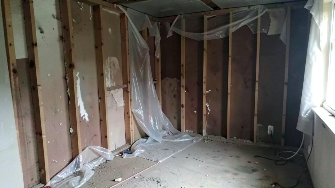 Mold Removal & Remediation in Redondo Beach, CA in Redondo Beach