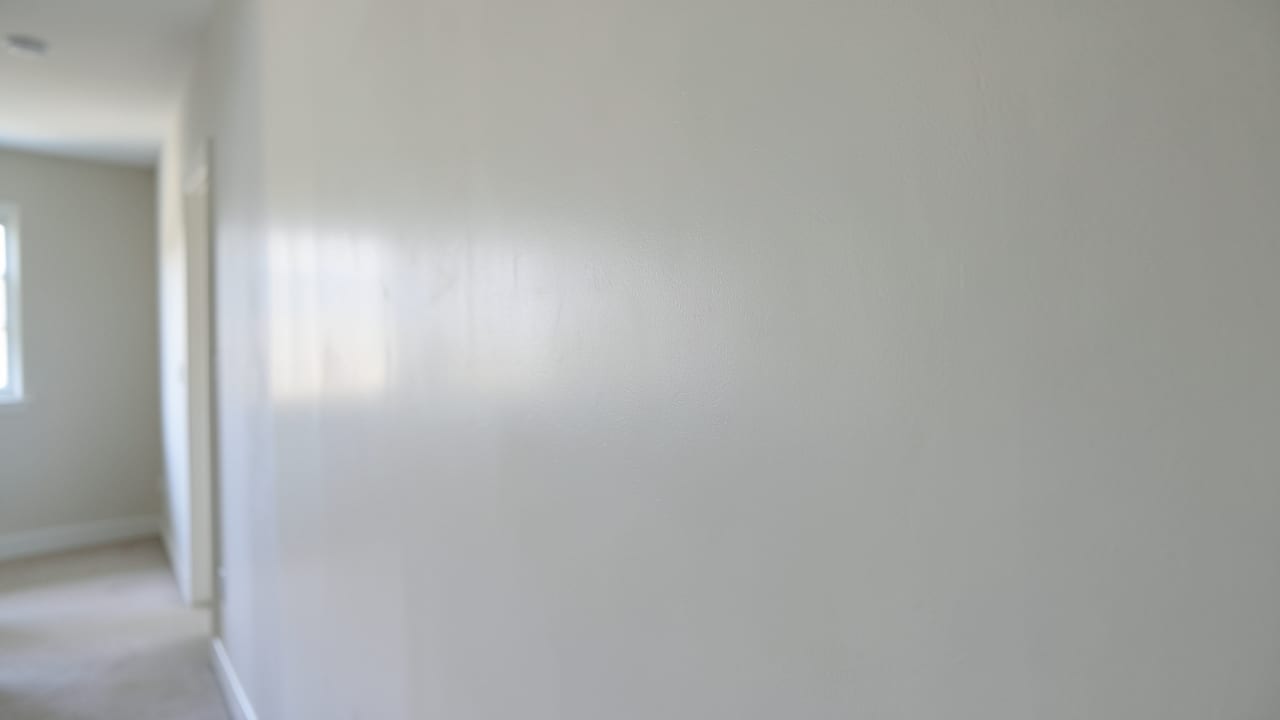 Plaster Mold Remediation in Redondo Beach, CA in Redondo Beach