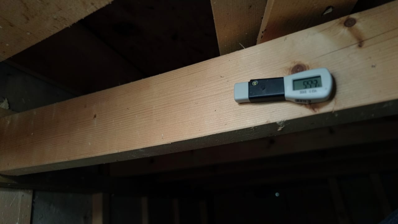 Spring Mold Inspection in Redondo Beach, CA in Redondo Beach