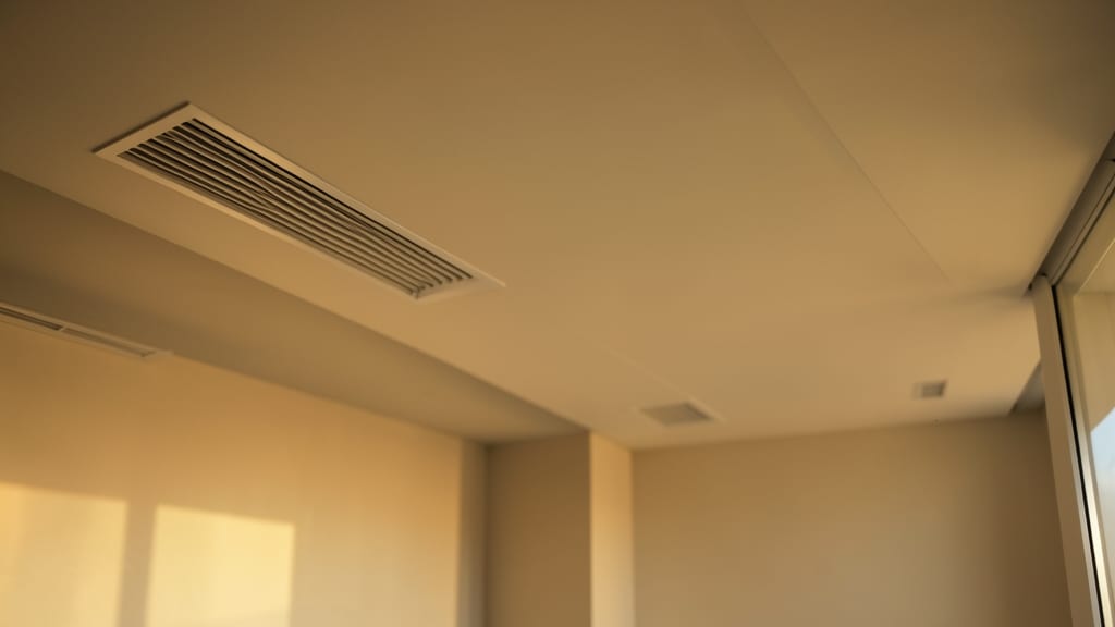 Understanding the Professional Mold Inspection Process in Santa Barbara