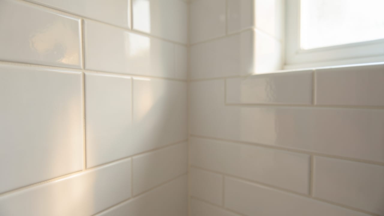 Bathroom Mold Removal in Santa Barbara, CA in Santa Barbara
