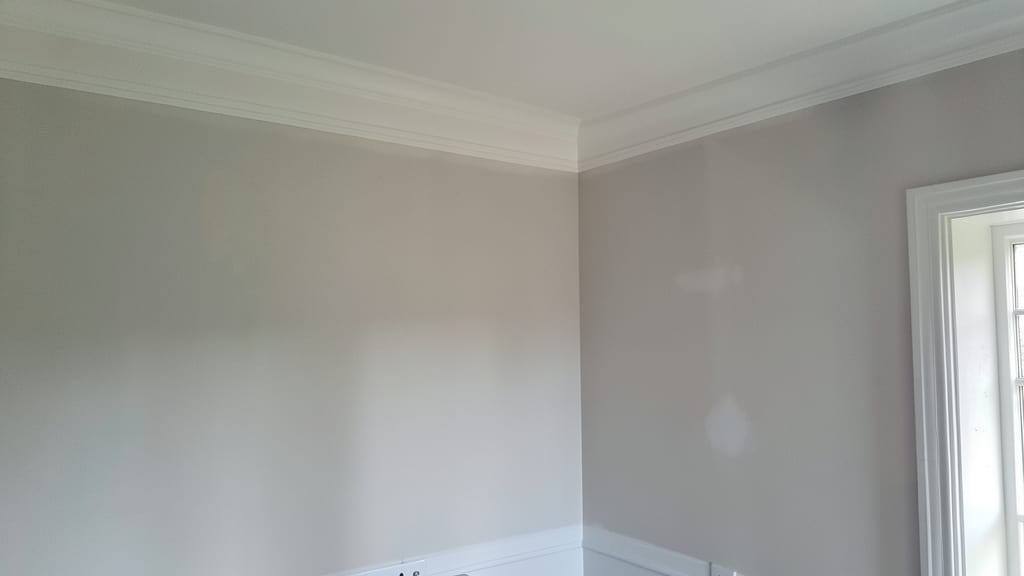 Long-Term Health Risks of Untreated Mold in Sevierville Homes