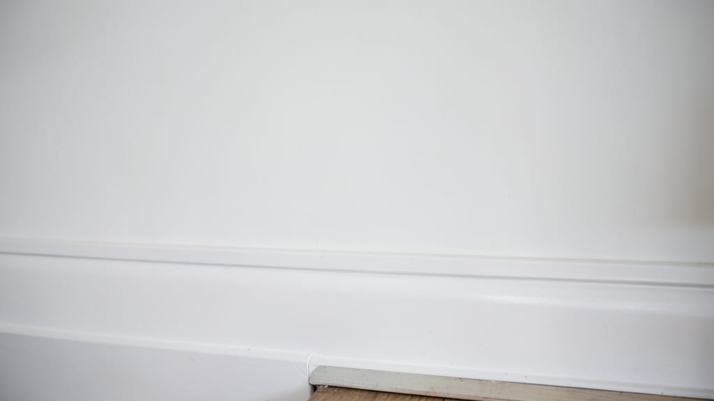 From Surface Stains to Structural Damage: Mold vs. Mildew in Sevierville