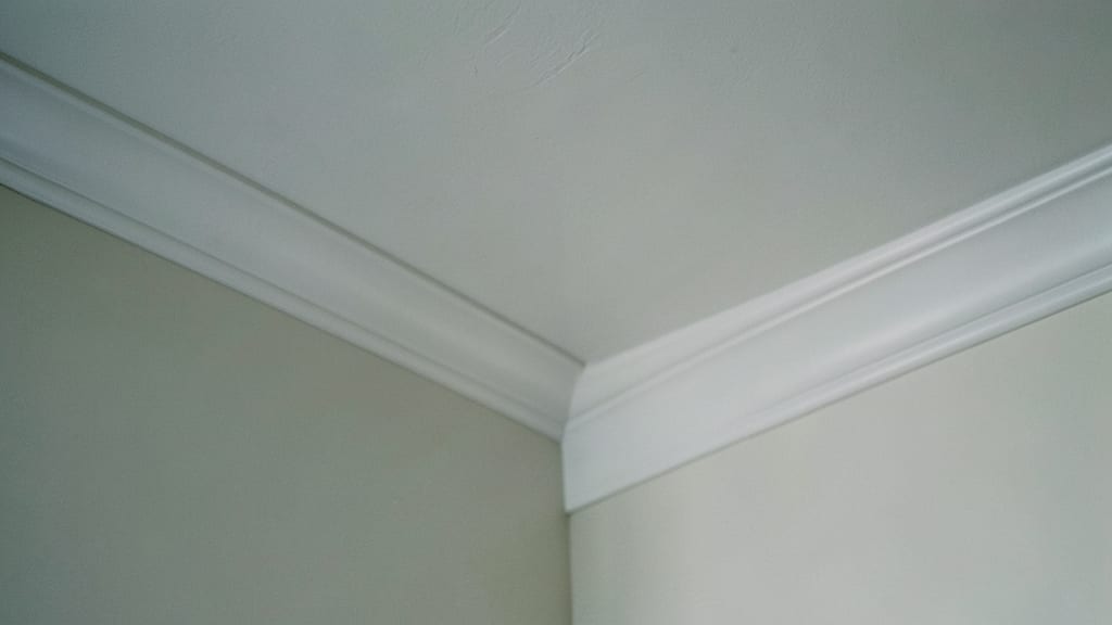 How to Prevent Mold Recurrence After Remediation in Sevierville Homes