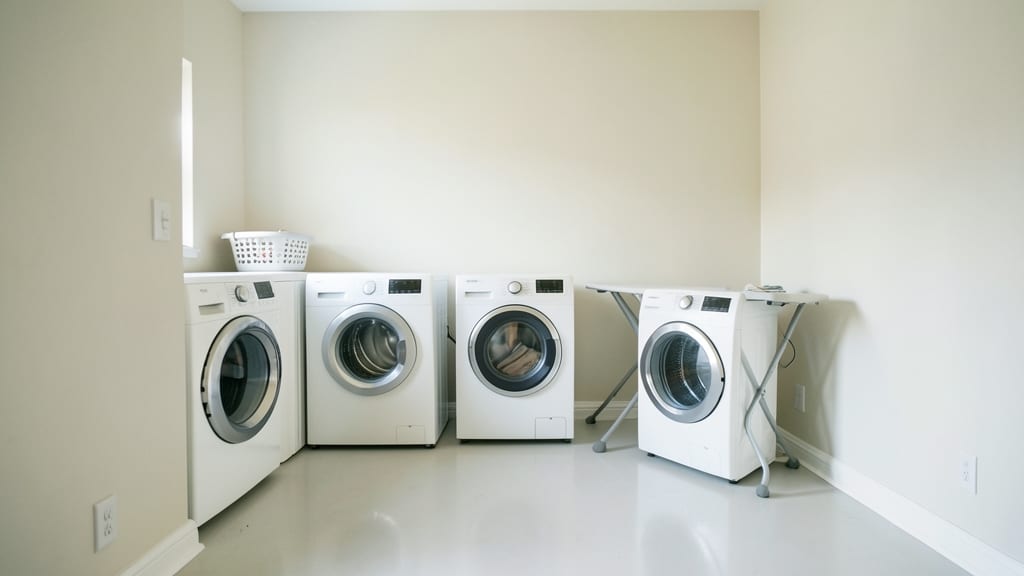 What to Expect During Mold Remediation in Sevierville