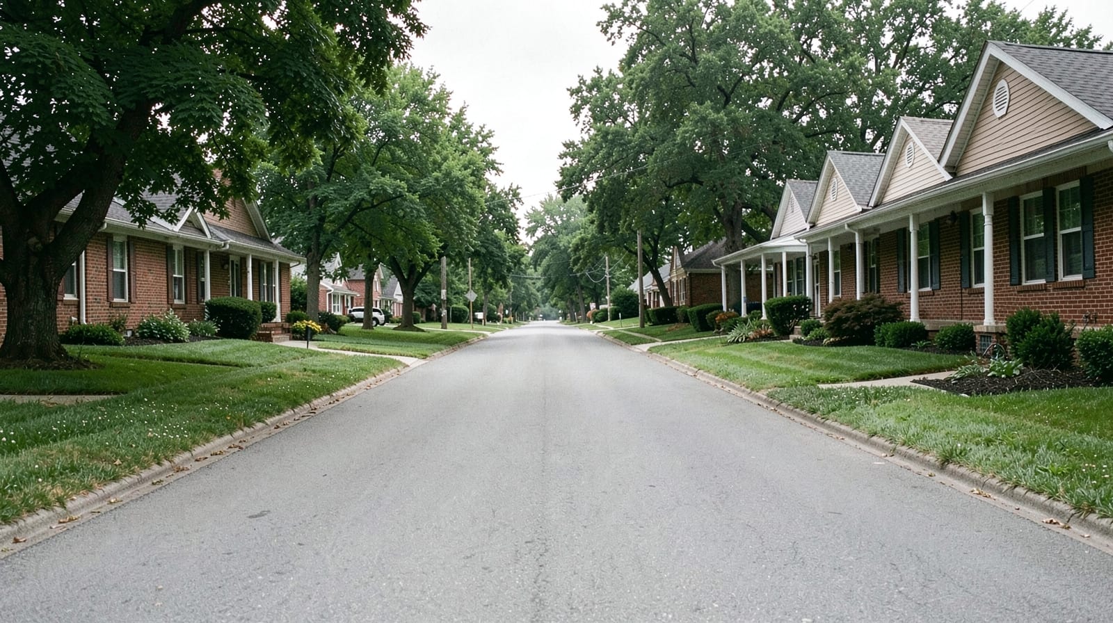 Mold Remediation in Pigeon Forge, TN