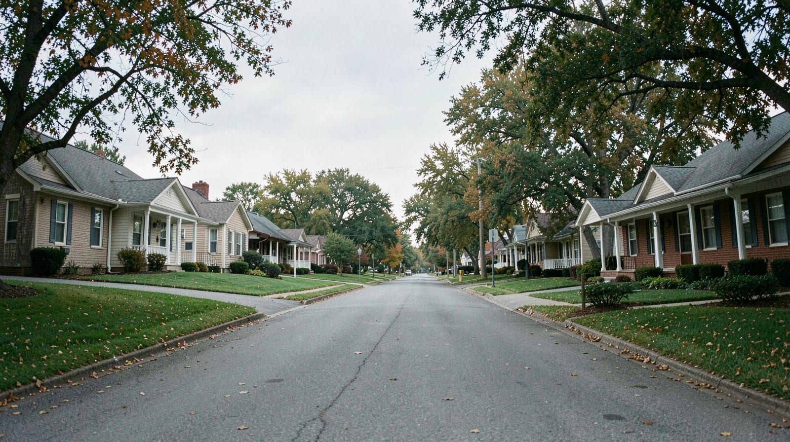 Mold Remediation in Seymour, TN