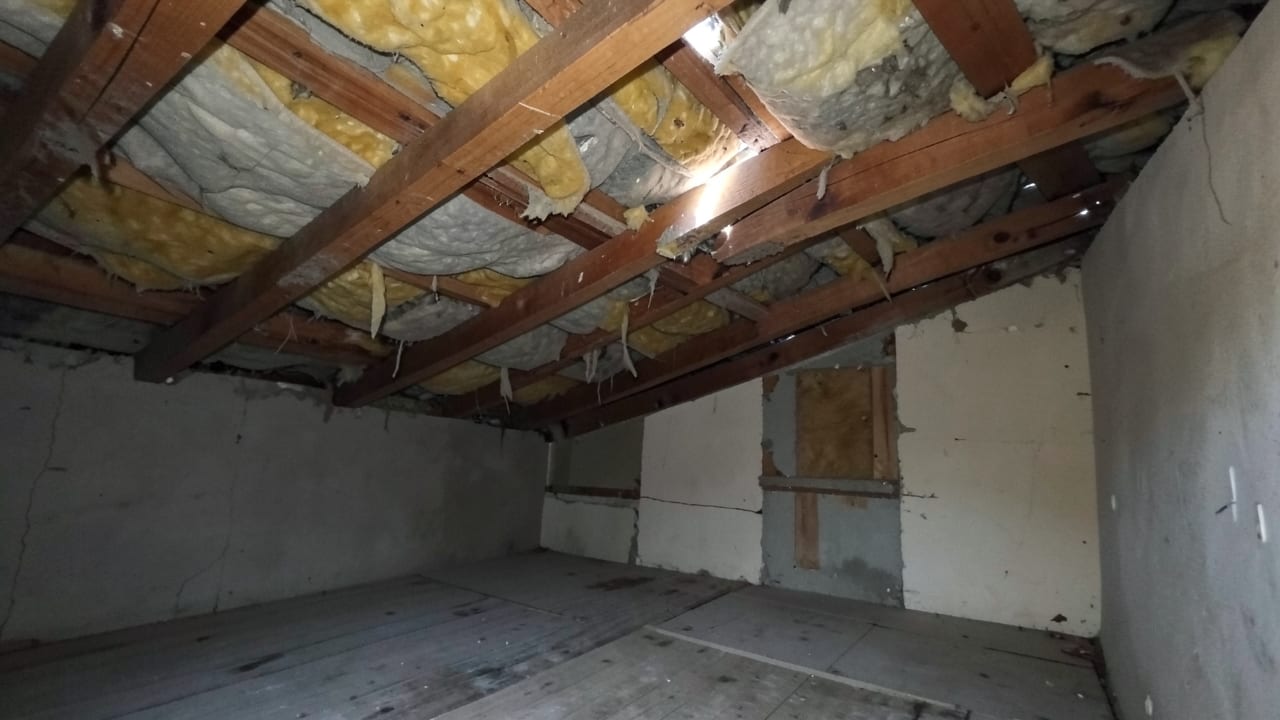 Attic Mold Remediation in Sevierville, TN in Sevierville
