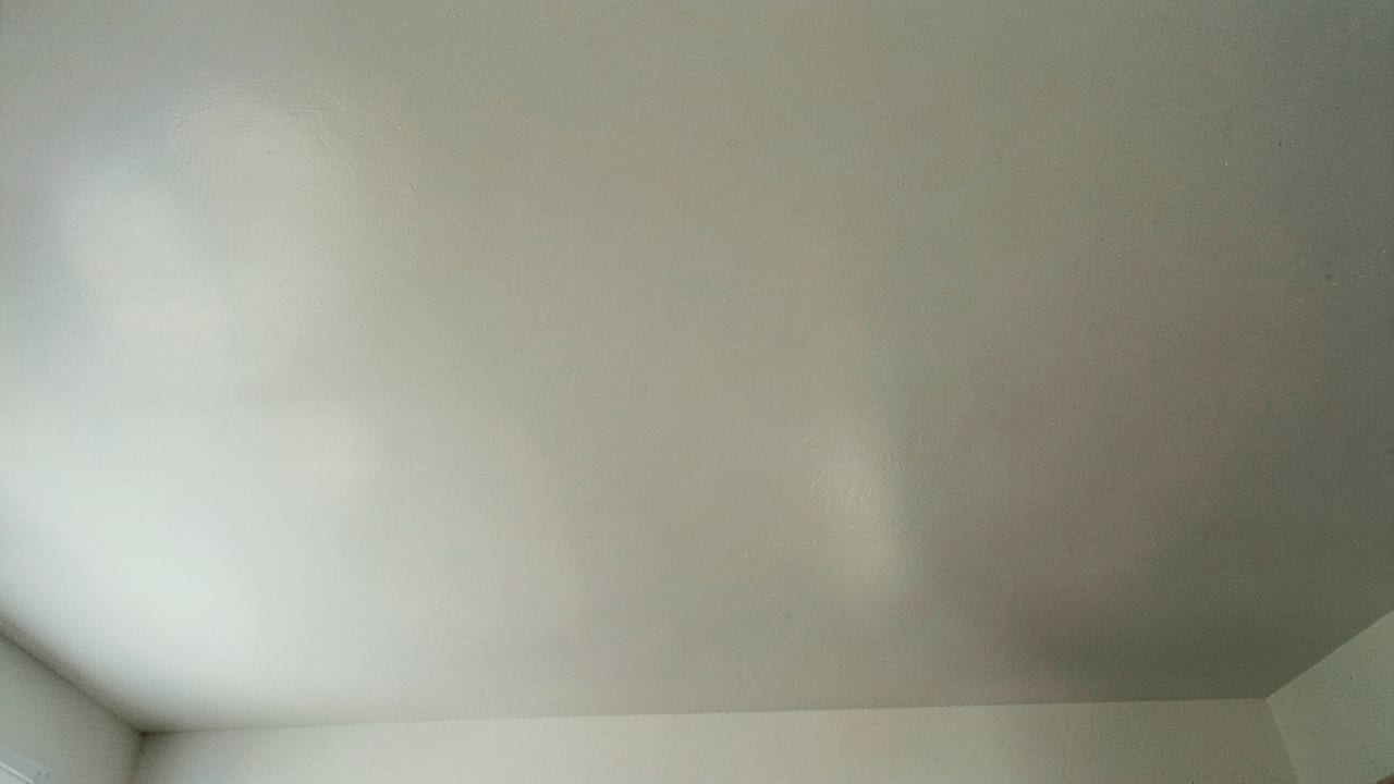 Ceiling Mold Removal in Sevierville, TN in Sevierville