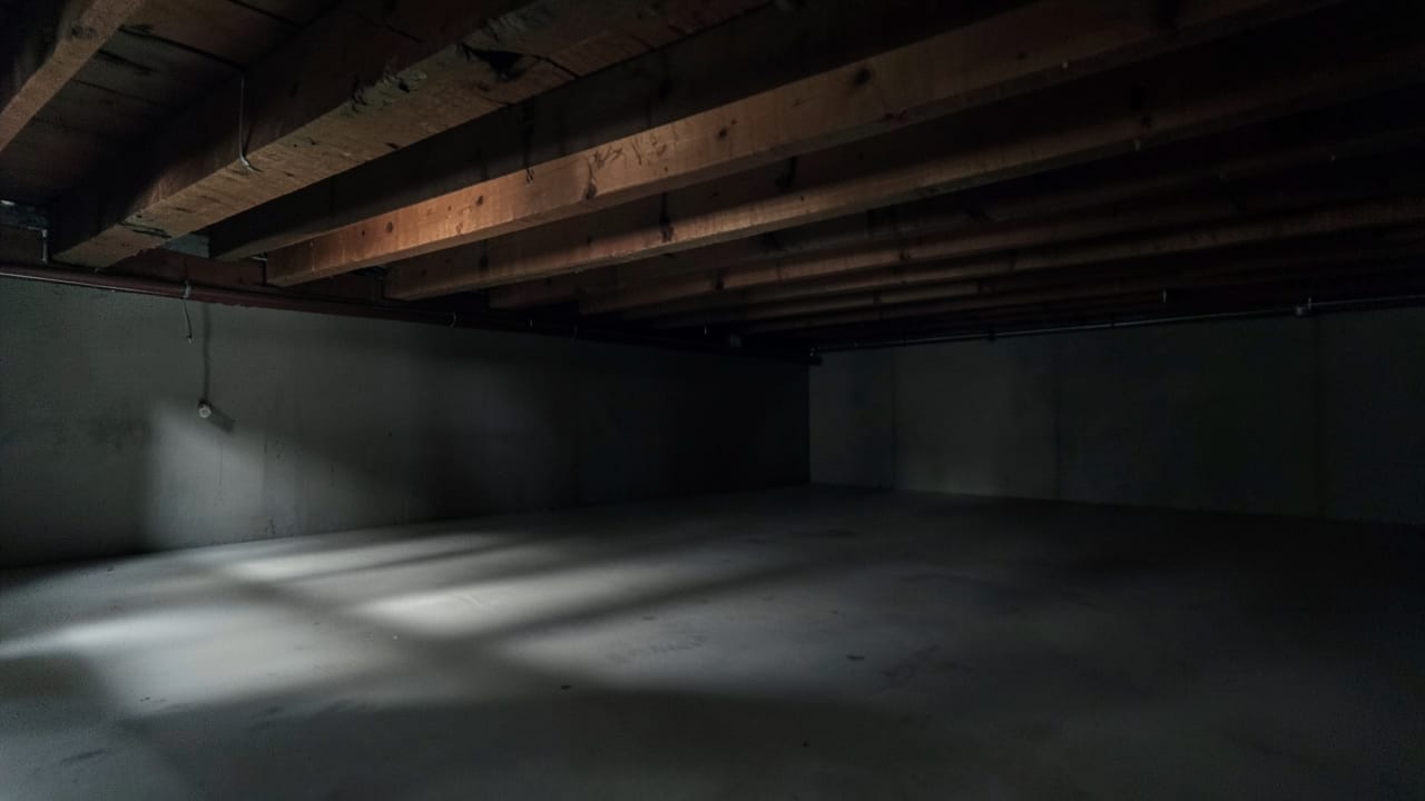 Sewer Backup Mold Cleanup in Sevierville, TN in Sevierville