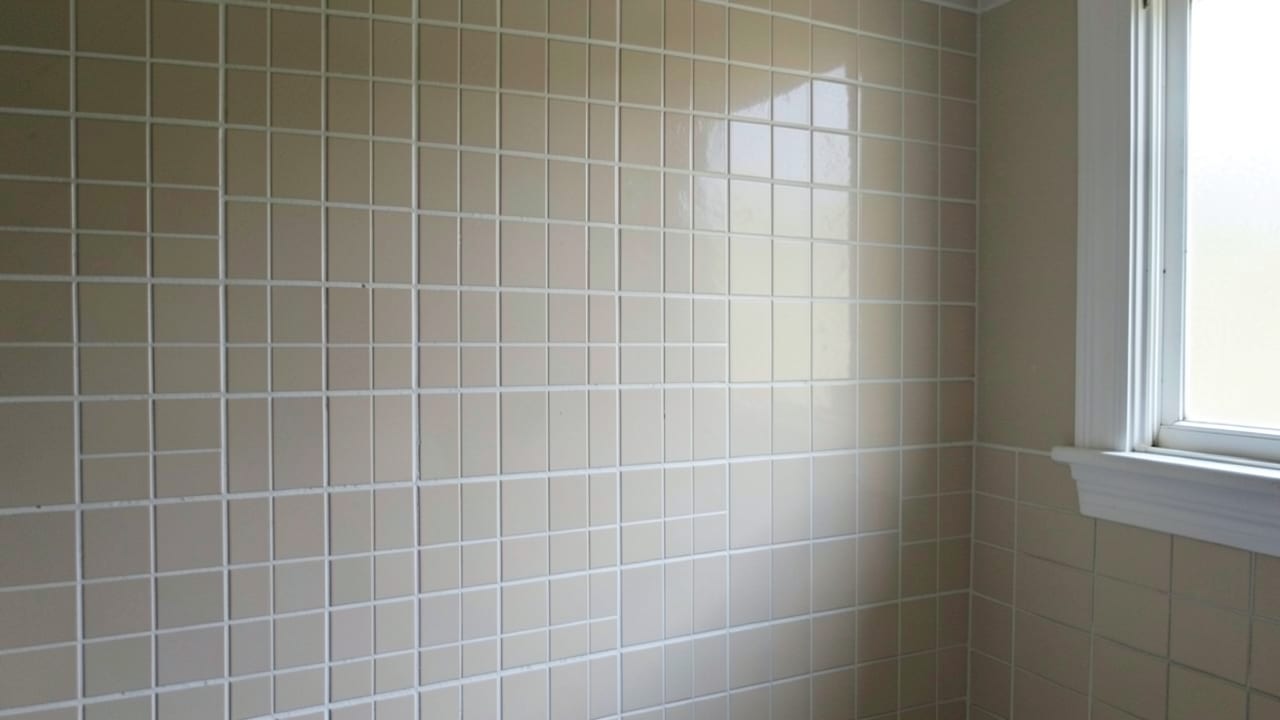Tile & Grout Mold Cleanup in Sevierville, TN in Sevierville