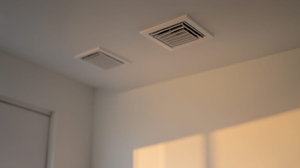 Large-Scale Mold Remediation for Office in Sunset Beach