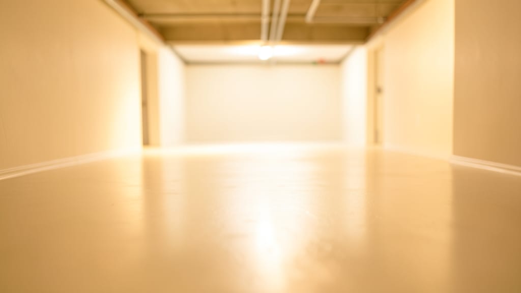 Why DIY Mold Fixes Fail in Sunset Beach Humidity