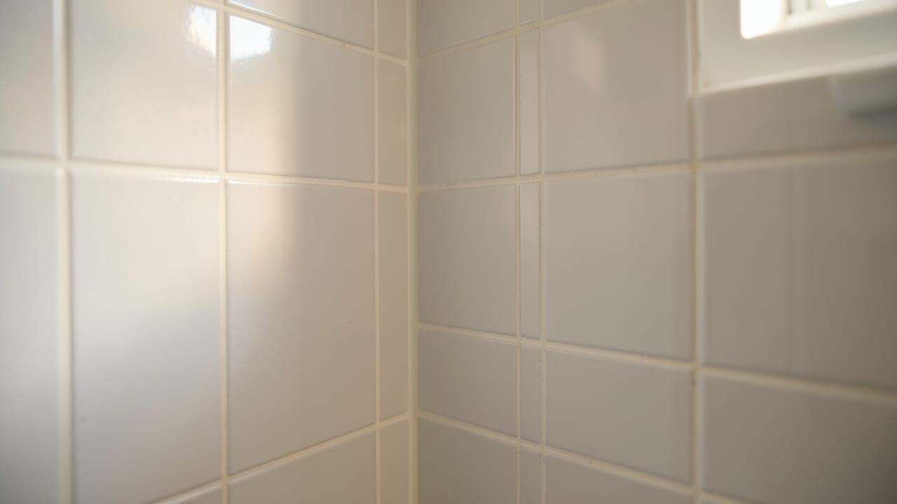 Bathroom Mold Removal in Sunset Beach, NC in Sunset Beach