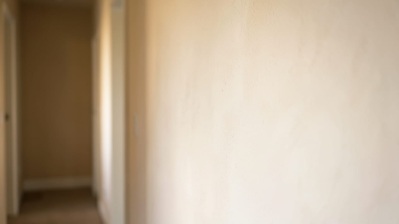 Plaster Mold Remediation in Sunset Beach, NC in Sunset Beach